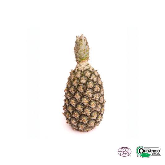 Abacaxi Pequeno Orgânico Un