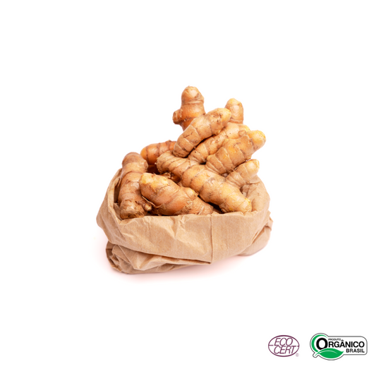Açafrão (Cúrcuma) Orgânico 150g