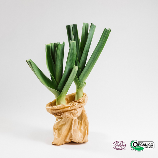 Alho Poró Orgânico 250g