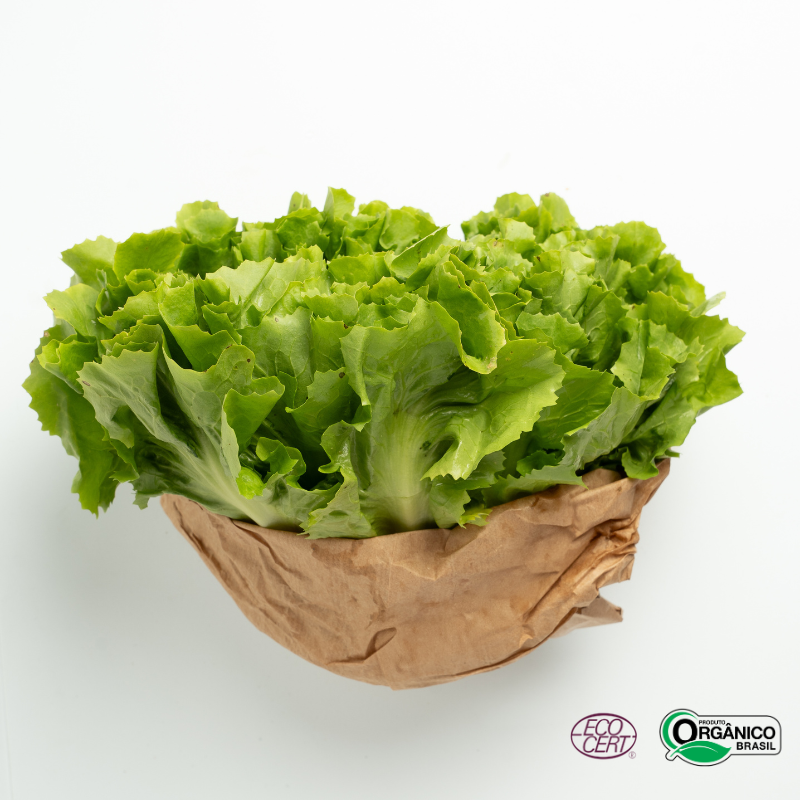 Escarola Orgânica Und Aprox 200g