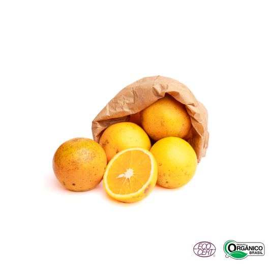 Laranja Pera Orgânica 1kg