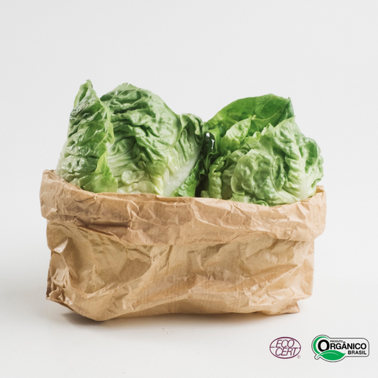 Mini Alface Romana Orgânica 100g