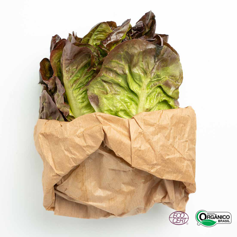 Mini Alface Romana Roxa Orgânica 100g