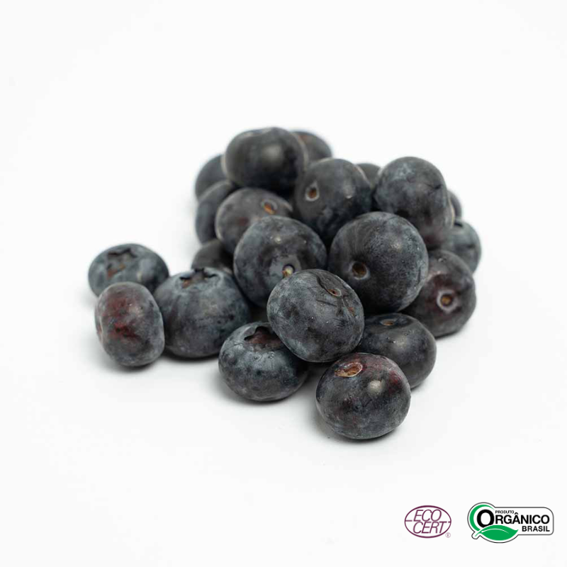 Mirtilo Orgânico 100g
