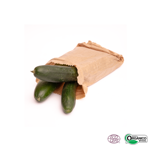 Pepino Japonês Orgânico 400g