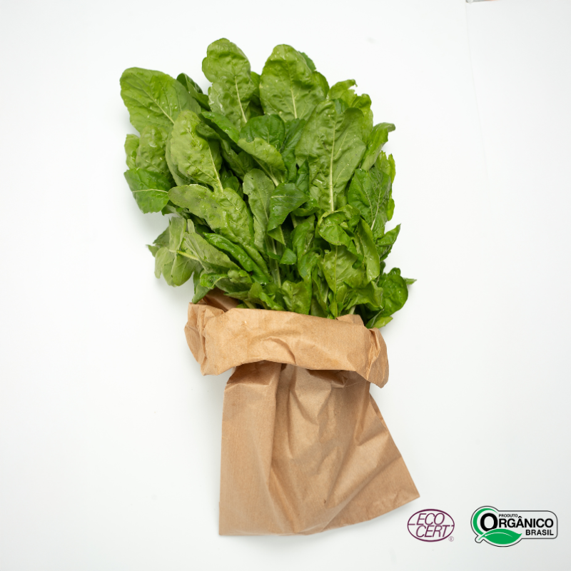 Rúcula Orgânica Und Aprox 200g