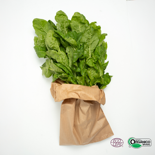 Rúcula Orgânica Und Aprox 200g