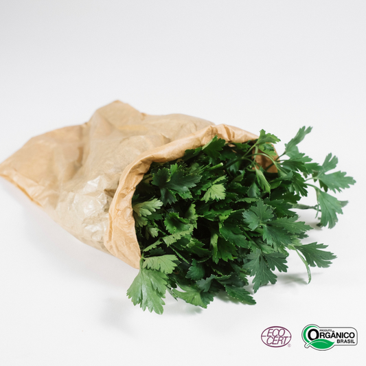 Salsinha Orgânica 100g